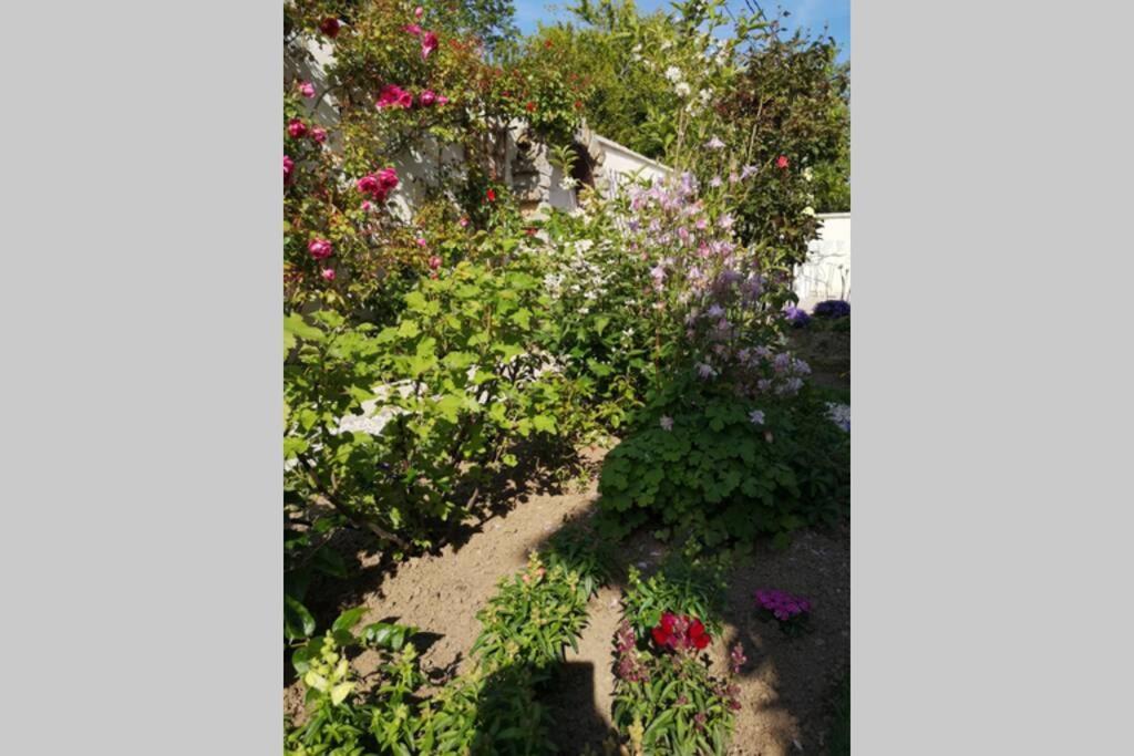 Maison Bayeux: Charming Garden Retreat Near City Centre Exterior photo